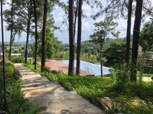 a swimming pool in a garden with trees at Tam Dao Retreat Venuestay in Tam Ðảo