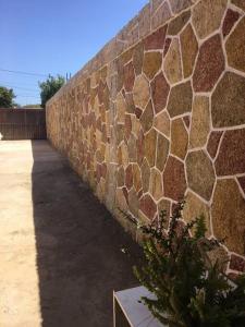 a stone wall with a tree in front of it at Arriendo Los Vilos, Central in Los Vilos