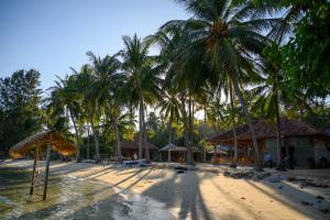 a group of palm trees on a sandy beach at Eco Casa in Karimunjawa