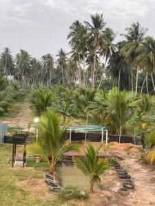 Aed väljaspool majutusasutust Homestay Naim Sabak Bernam