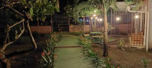 a garden at night with a table and a bench at Tortuguero Hill Rooms in Tortuguero