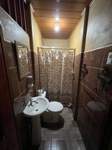 a bathroom with a sink and a toilet and a shower at Tortuguero Hill Rooms in Tortuguero