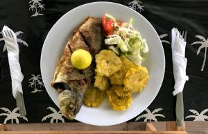 パナマシティにあるDiegun Toursの魚とジャガイモの盛り合わせとサラダ
