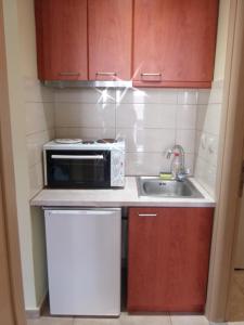 A kitchen or kitchenette at Katerina sitia apartments 1