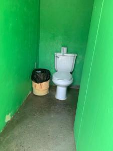 パナマシティにあるDiegun Toursの緑の壁にトイレが付いた緑のバスルーム