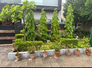 un jardin avec un tas de plantes et d'arbres en pot dans l'établissement MJS Entire New Designer House, 5 BR, 13 bed, 2 living, reclining sofas, Italian kitchen, 6 bath, garage, side garden at prime location of Bahria Town, Islamabad, à Rawalpindi