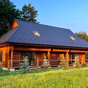 a log cabin with a black roof at Chalet PidStromom in Mykulychyn