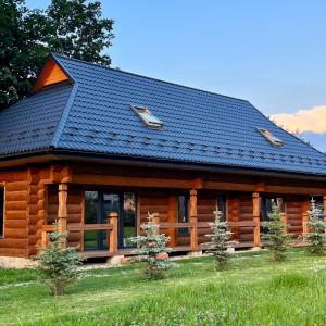 Cabaña de madera con techo azul en Chalet PidStromom en Mykulychyn
