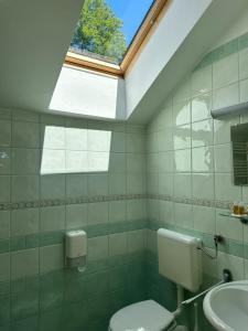 un bagno con wc e finestra di Hotel Zarja a Hočko Pohorje