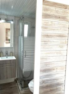 a bathroom with a shower and a toilet and a sink at Joyas cosy apartment in Tragaki