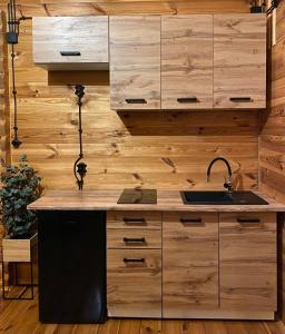 eine Küche mit einer Spüle und Holzschränken in der Unterkunft Spokojny zakątek in Silice