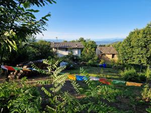 a garden with a bunch of flags in the grass at Casa Omnia B&B in Castellamonte