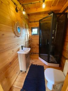 a bathroom with a shower and a toilet and a sink at Spokojny zakątek in Silice