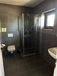 uma casa de banho com um chuveiro, um WC e um lavatório. em Guesthouse em Rozvadov