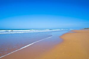 a beach with the ocean and the shoreline at Elba Costa Ballena Beach & Thalasso Resort in Costa Ballena