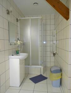 a bathroom with a sink and a shower at Mimoza Gospodarstwo Agroturystyczne in Bartoszyce