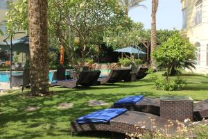 a resort yard with chairs and a swimming pool at Soluxe Cairo Hotel in Cairo