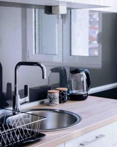 eine Küchentheke mit einer Spüle und einem Mixer in der Unterkunft Spacious One bedroom Apartment DIA in Budva