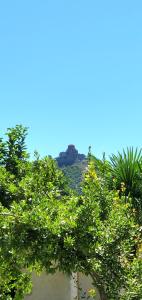 a view of a hill with trees in the foreground at GuestRoom KOKO in Mtskheta