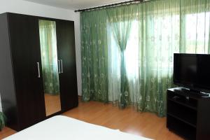 a bedroom with a bed and a tv and a window at Pensiunea La Tase in Calafat