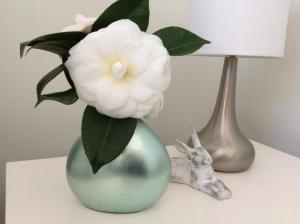 Foto dalla galleria di Beachport Bed & Breakfast a Port Macquarie