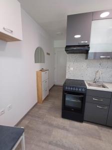 a kitchen with a black stove and a sink at Apartma Nadja in Maribor