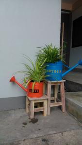 Fotografie z fotogalerie ubytování Sleep Guesthouse v destinaci Chiang Mai