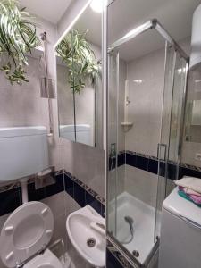 a bathroom with a shower and a toilet and a sink at Apartma Nadja in Maribor
