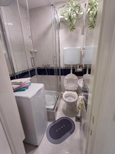 un piccolo bagno con servizi igienici e doccia di Apartma Nadja a Maribor