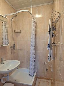 een badkamer met een wastafel en een douche bij Vyšnia in Zarasai