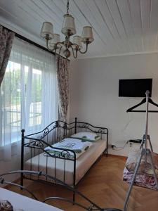 een slaapkamer met een bed en een televisie in een kamer bij Vyšnia in Zarasai