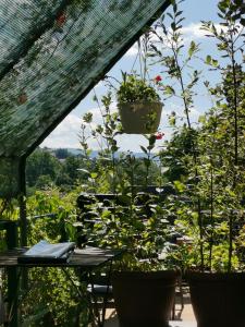 a patio with potted plants and a table at Apartments Emily in Sarajevo