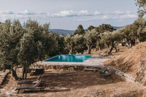 a swimming pool in the middle of a hill with trees at Special Farmstay, Faia-Guarda in Faia