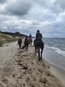 a group of people riding horses on the beach at Apartament HEL in Hel
