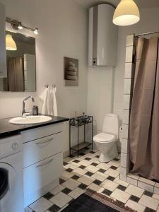 ein Bad mit einem WC, einem Waschbecken und einer Dusche in der Unterkunft Pia´s Guesthouse in Askeby