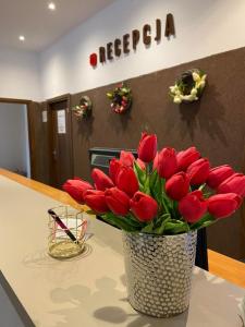 Fotografie z fotogalerie ubytování Ośrodek Tulipan v destinaci Ustroň