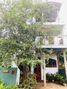 a white house with a tree in front of it at New mom house in Tangalle
