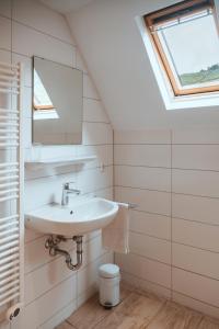 een badkamer met een wastafel en een raam bij Ferienweingut SerwaziWein in Mesenich