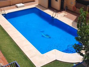 an overhead view of a large blue swimming pool with grass at Casa Playa Guadalmar in Málaga
