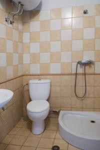 a bathroom with a toilet and a bath tub at Hotel Vila Bruci in Burrel