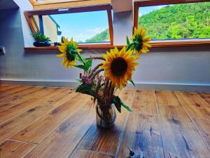 a vase filled with sunflowers in a room with windows at Casa Ileana 
