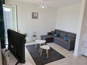 ein Wohnzimmer mit einem Sofa und einem TV in der Unterkunft T5 - Metro - proche arènes in Toulouse