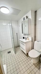 タンペレにあるParadiseのバスルーム(トイレ、洗面台、シャワー付)
