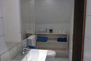 Koupelna v ubytování Ferienwohnung Scheffelhaus + 9 fotografií