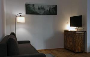 TV a/nebo společenská místnost v ubytování Ferienwohnung Scheffelhaus