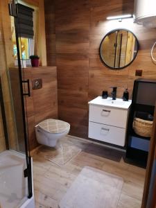 a bathroom with a toilet and a sink and a mirror at Agroturystykadomkistawisko in Solina +11 photos