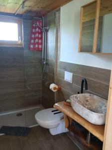 uma casa de banho com um lavatório, um WC e um chuveiro em Ferienhaus am Bückeberg em Gernrode - Harz