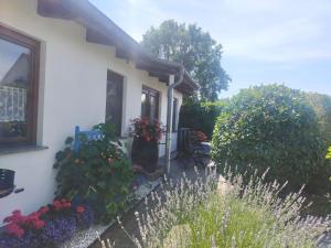 Bungalow "Carpe diem"