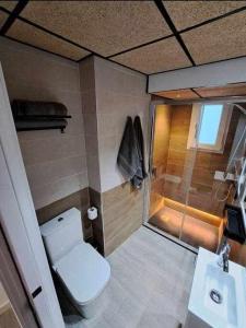 a bathroom with a toilet and a shower at ACC Serrano 2 aparcamiento cercano in Jaén
