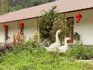 Zahrada ubytování Baan Daeng Resort บ้านรักไทย